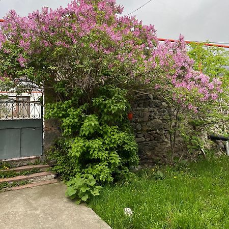 Soso Burduli'S Guesthouse Kazbegi Esterno foto