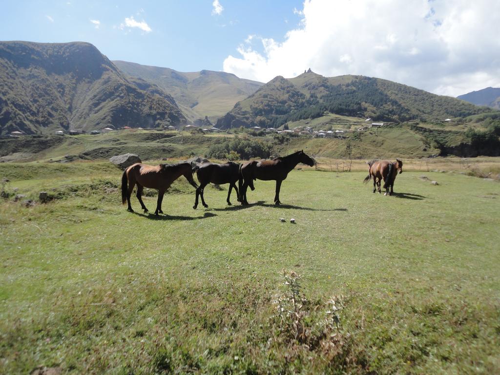 Soso Burduli'S Guesthouse Kazbegi Esterno foto