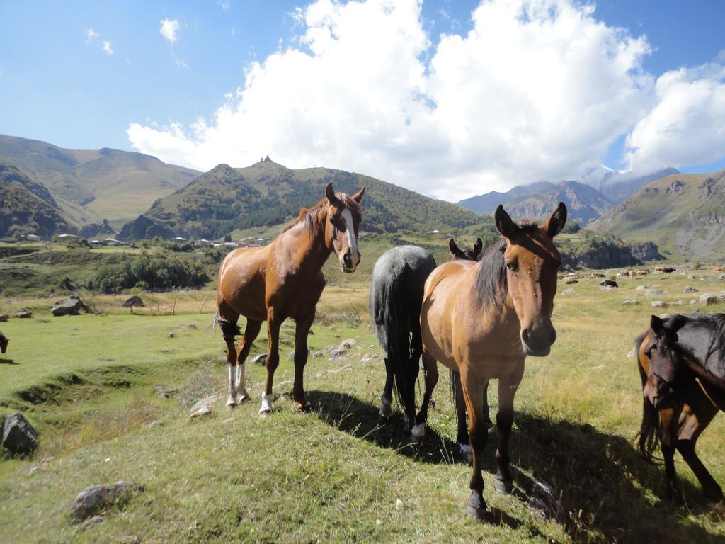 Soso Burduli'S Guesthouse Kazbegi Esterno foto